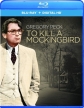 To-Kill-a-Mockingbird{}